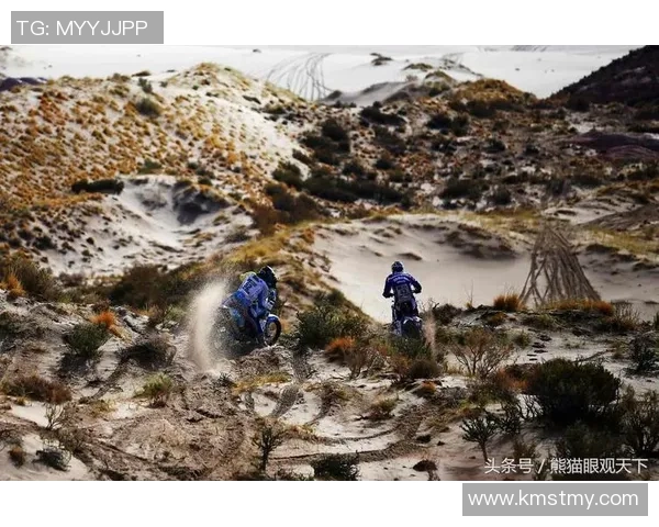 2018国际赛秘鲁与苏格兰激情对决回顾与精彩瞬间分析 2018国际赛秘鲁与苏格兰激情对决回顾与精彩瞬间分析