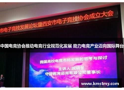 中国电竞协会推动电竞行业规范化发展 助力电竞产业迈向国际舞台