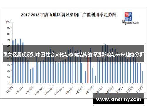 重女轻男现象对中国社会文化与家庭结构的深远影响与未来趋势分析